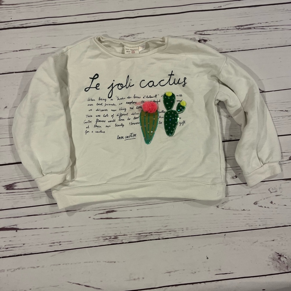 Girls Zara sweater